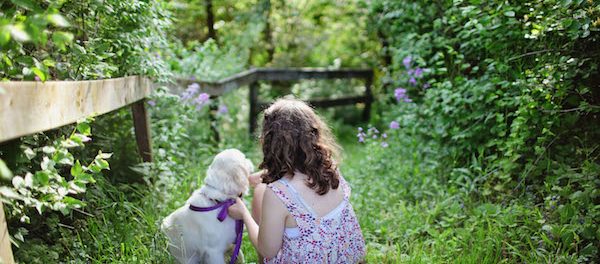 Dog Sitting On Grass With Girl