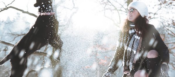 Joyful Dog Jumping in the Snow
