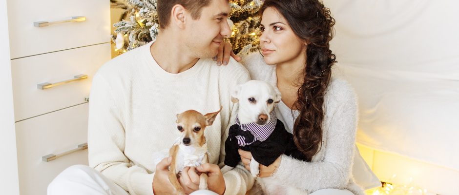 Couple with dogs. Create the perfect profile for online dating