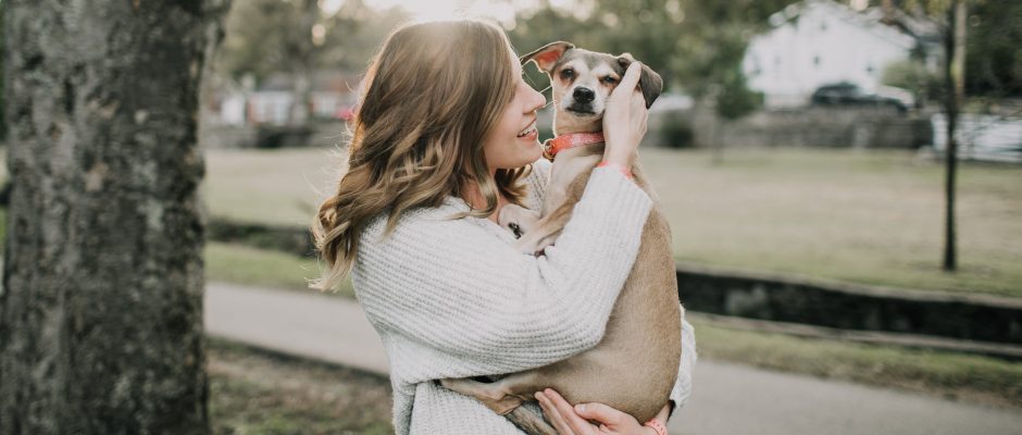 ways care senior dog