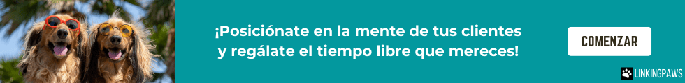 Dos perros en la playa en un aviso de LinkingPaws ofreciendo soluciones de pet marketing para crecer tu negocio y retener a tus clientes mientras disfrutas de tiempo libre.